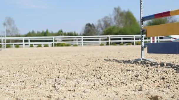 Pferdehuf Landet Nach Sprung Über Hindernis Auf Weichem Boden — Stockvideo