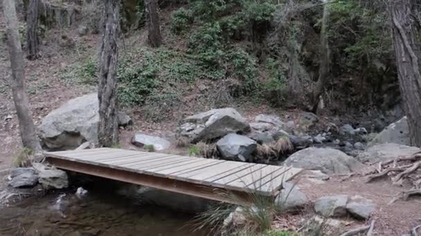 少女は森の中の木製の歩道橋を渡って歩く — ストック動画
