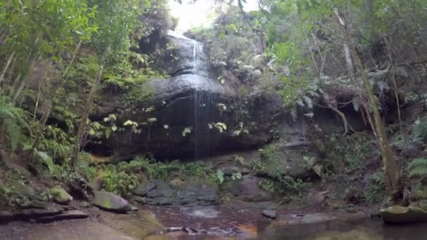 Cascadas Las Montañas Azules Nsw Australia — Vídeo de stock