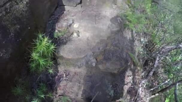 Wasserfälle Den Blue Mountains Nsw Australien — Stockvideo