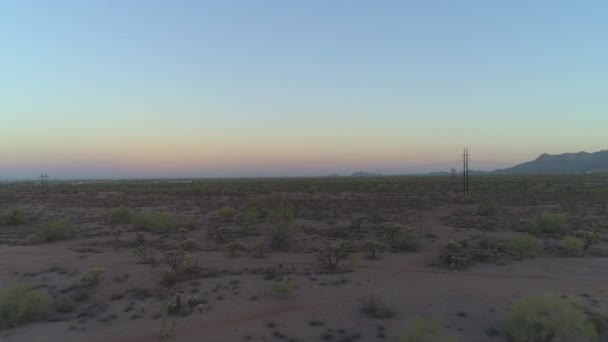 Ikonikus Arizonai Szonorán Sivatag Erős Vonalakkal — Stock videók