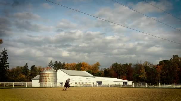 A western equestrian student warms up her horse in an outdoor ring near a silo.