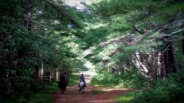 A nyaralók a Martha s Vineyard fából készült ösvényén lovagolnak..