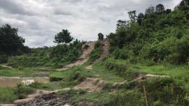 Landschap Van Een Prachtig Thailand Bos Als Zon Lucht Ligt — Stockvideo