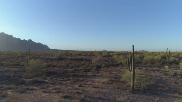 Saguaro Cacti和Superstition山的亚利桑那州经典索诺兰沙漠4K空域 — 图库视频影像