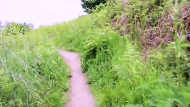 Wandelen Door Een Klein Pad Met Gras Kloof Aan Elke — Stockvideo