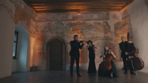 弦乐四重奏者在中世纪风格的房间里演奏的弦乐四重奏者在一首曲子的末尾演奏他们的最后音符 — 图库视频影像