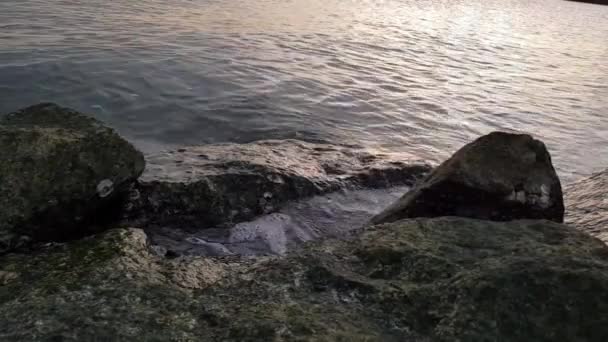 Filmación Agua Golpeando Rocas — Vídeos de Stock