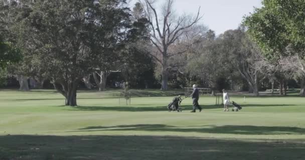 Ältere Männer Gehen Mit Ihren Golf Buggys Auf Goldkurs — Stockvideo