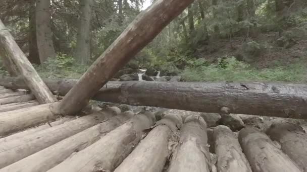 Zeitlupenstrom Wald Felsen Den Moränen Oder Stone River Naturphänomen Vitosha — Stockvideo