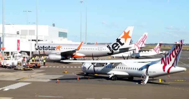 Pesawat Menunggu Gerbang Bandara Sydney — Stok Video