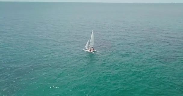Drone Aerial View Sail Boat Gliding Open Sea — Stock Video