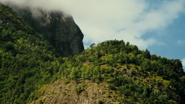 Bellissimo Fiordo Norvegia Estate Uno Dei Fiordi Più Belli Del — Video Stock