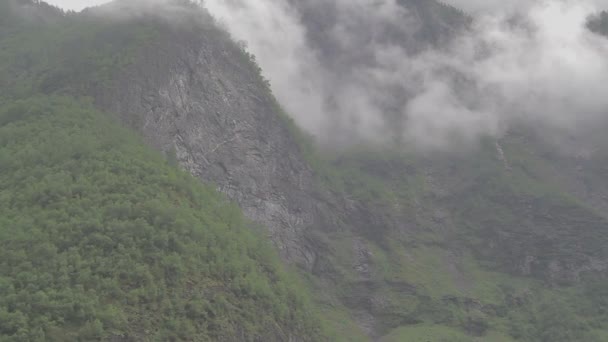 Hermoso Fiordo Noruega Niebla Densa Sobre Verde Tracking Shot Log — Vídeo de stock