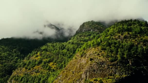 Hermoso Fiordo Noruega Verano Uno Los Preciosos Fiordos Del Mundo — Vídeos de Stock