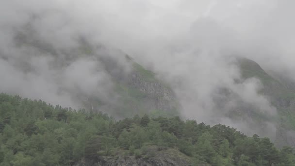 Beautiful Fjord Norway Mist Rising Forest Tracking Shot Log — Stock Video