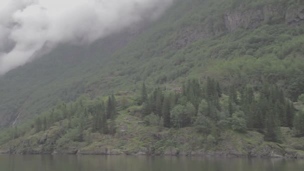 Bello Fiordo Norvegia Pini Costieri Tracking Shot Log — Video Stock