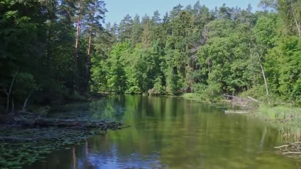 Drone Images Aériennes Kayak — Video