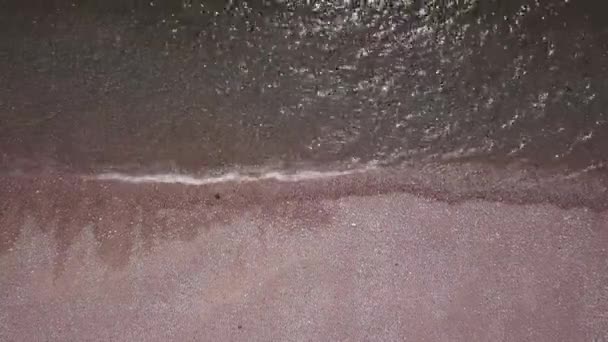 엑서터 이스트 데본의 쥬라기 코스트에 레이살 의아름다운 조약돌 해변의 — 비디오