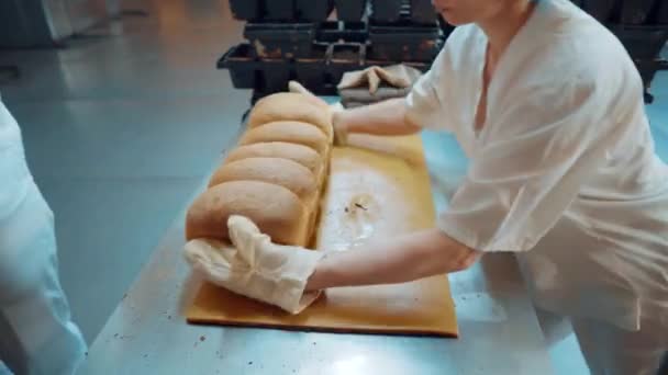 新鮮な食材とパン屋食料品の生産 パン型から焼きたてパンを引き抜いて そしてラックに置きます 製パン工場 — ストック動画