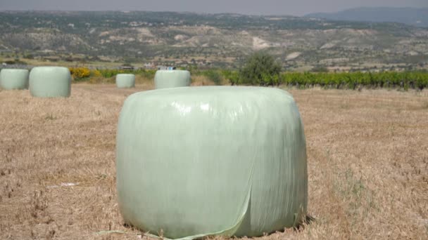 一个以高山为背景的农民田里 堆满了收获的干草作物的塑料包裹桶 — 图库视频影像