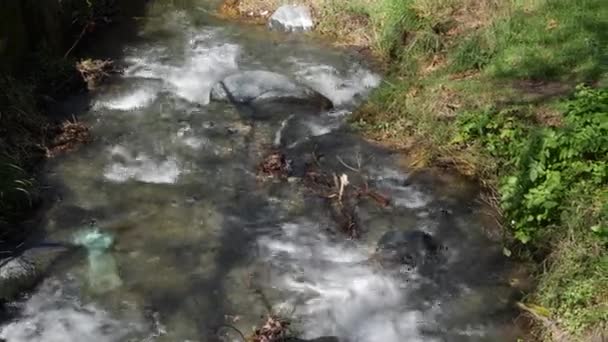 Voda Tekoucí Proudu Lesním Potoku — Stock video