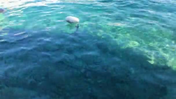 美しい青いアドリア海と船でクロアチアの町Hvar — ストック動画