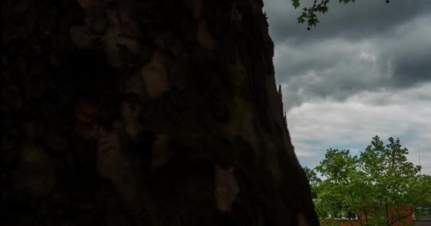 Timelapse Van Keulen Duitsland Europa Zeitraffer Von Kln Deutschland Europa — Stockvideo