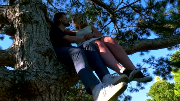 Dessous Plan Couple Assis Sur Arbre — Video