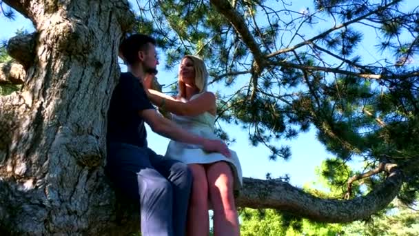 Angle Bas Couple Assis Sur Arbre — Video