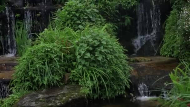 泰国的小瀑布在寺庙里创下了记录 — 图库视频影像