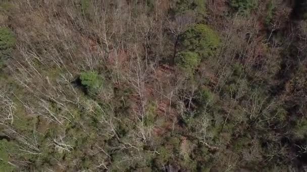 Aves Vista Del Dron Mirando Hacia Abajo Las Montañas Lentamente — Vídeos de Stock