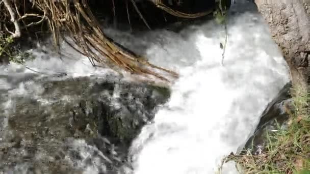 Fermer Eau Rude Coule Sur Les Rochers Dans Une Rivière — Video