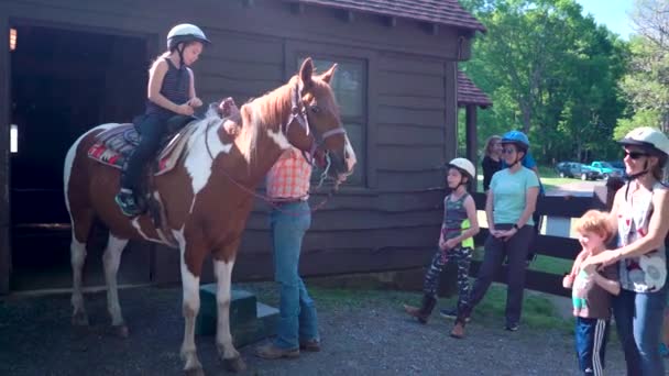 Horse Handler Pomáhá Malé Holčičce Koně Nastavuje Její Třmeny Jak — Stock video