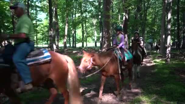 Meisjes Moeders Paarden Wandelen Door Een Zonovergoten Bos Een Pad — Stockvideo