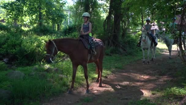 Little Girl Brown Horse Tries Get Her Horse Move Forward — Stock Video