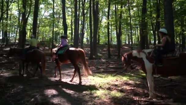 Tirer Soleil Pendant Que Les Petites Filles Cheval Descendent Sentier — Video