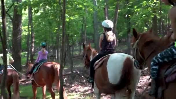 森のトレイルに馬に乗って女の子と一緒に移動し 後ろに従うSteadicamカメラ — ストック動画
