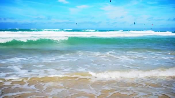 Krásný Klip Pobřeží Pláže Kitesurfers Pozadí — Stock video