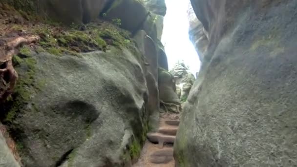 Subiendo Escaleras Madera Parque Nacional Adrpach República Checa — Vídeos de Stock