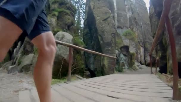 Promenade Dans Parc National Rocheux Adrpach — Video