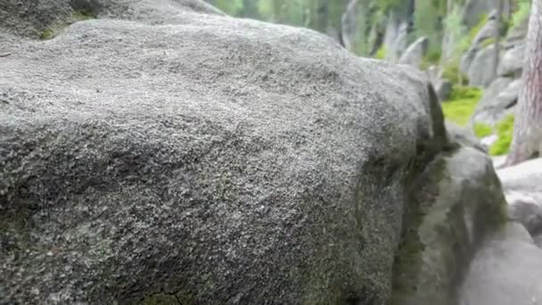 Holzweg Durch Felsigen Nationalpark Adrpach — Stockvideo