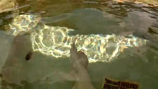 Voeten Spa Bewegend Water — Stockvideo