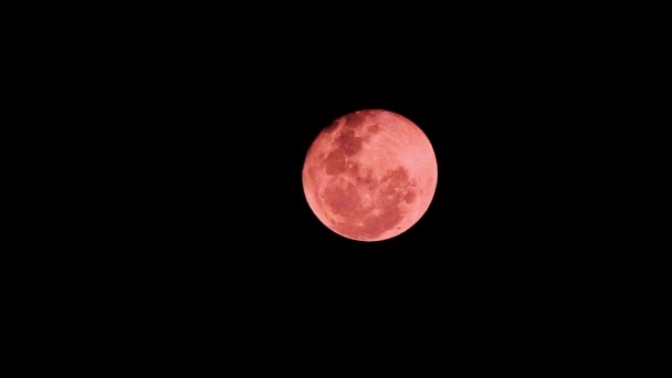 Historisk Röd Blood Moon Stiger Över Sydney Australien Juli 2018 — Stockvideo