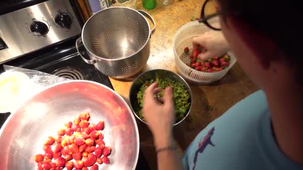 Tiro Sobre Ombro Preparadores Comida Pessoa Que Corta Morangos — Vídeo de Stock