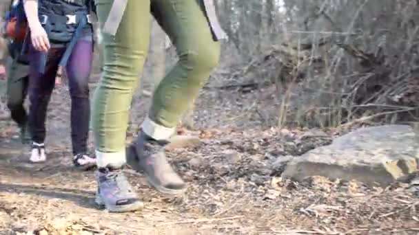 Closeup Shot Hikers Legs Walking Forest Trail — Stock Video