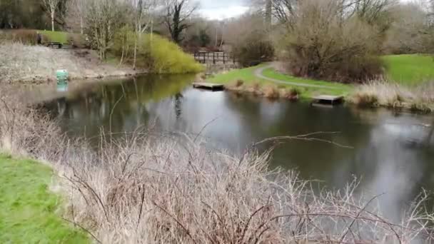 Drone Che Vola Sopra Piccolo Stagno Pesca — Video Stock