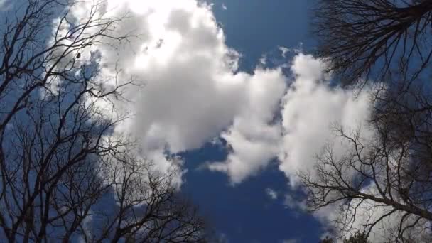 Nubes Moviéndose Bajo Alto Nivel Timelapse — Vídeo de stock