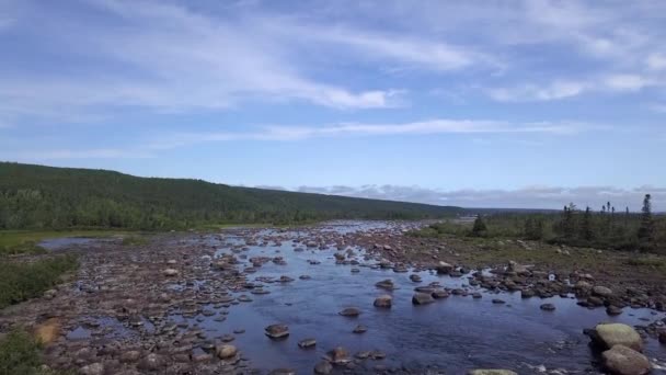 Aérea Río Rocoso Piedras Redondas Terranova Este Canadá — Vídeos de Stock