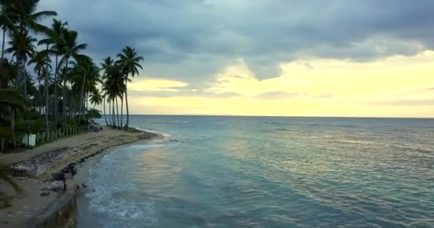 日落时带着棕榈树飞越一个奇异的海滩 天空形成了惊人的云彩 — 图库视频影像
